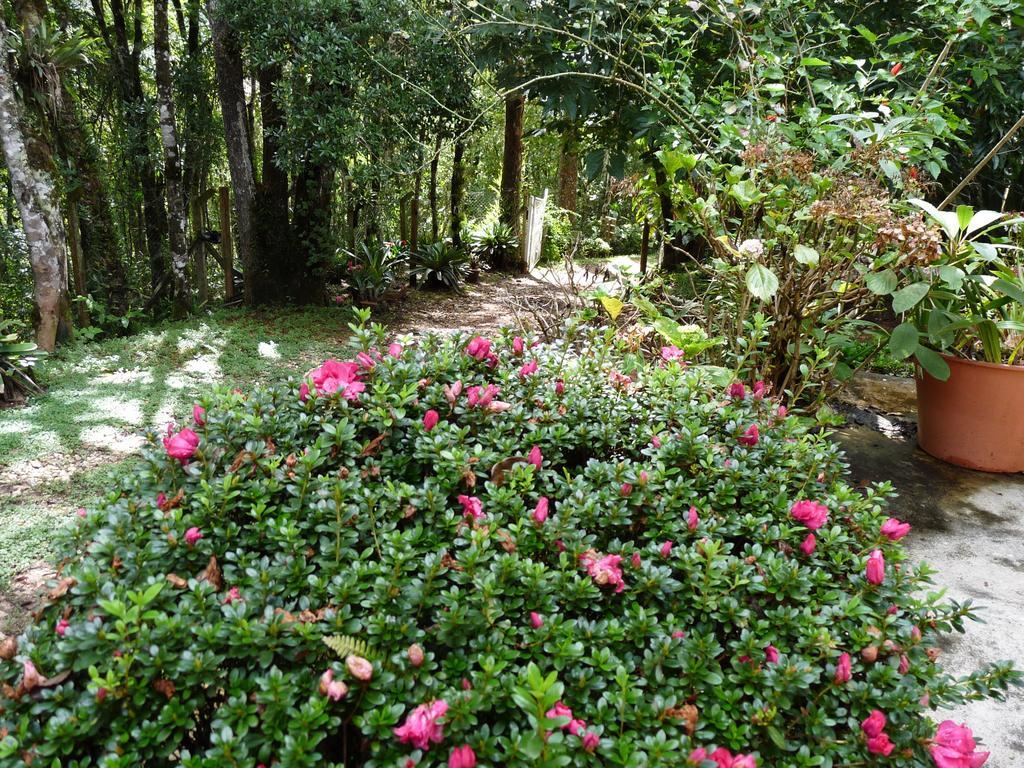 Aromas Da Serra II Campos do Jordão Buitenkant foto